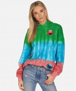 Sesame Workshop Harmony Sesame Street Faces